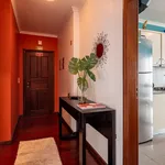 Rent 2 bedroom apartment of 100 m² in Funchal