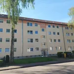 Rent 4 bedroom apartment of 65 m² in Gelsenkirchen