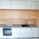 Rent 2 bedroom apartment of 40 m² in Znojmo