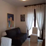 Rent 2 bedroom apartment of 45 m² in Roma