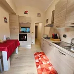 Rent 2 bedroom apartment of 46 m² in Turin