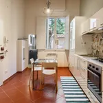 Rent 1 bedroom apartment in Florence