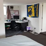 Rent 4 bedroom house in Hamilton