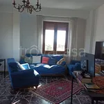 Rent 3 bedroom apartment of 85 m² in Pisa