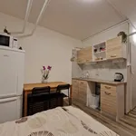 Rent 1 bedroom house in Brno