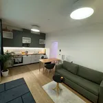 Rent 1 bedroom apartment of 41 m² in München