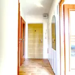 Rent 1 bedroom apartment of 38 m² in Hradec Králové