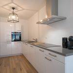 Rent 1 bedroom apartment of 106 m² in Rotterdam