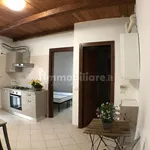 Rent 3 bedroom apartment of 70 m² in Bologna