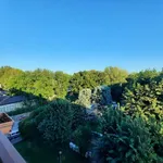 Rent 2 bedroom apartment of 85 m² in milan