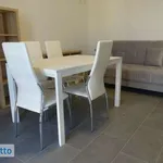 Rent 3 bedroom apartment of 51 m² in Piacenza