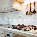 Rent 1 bedroom apartment of 40 m² in Turin