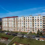 Rent 1 bedroom apartment of 33 m² in Ústí nad Labem