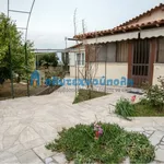 Rent 1 bedroom house of 70 m² in Municipal Unit of Lerna