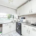 Rent 3 bedroom apartment in Sheffield