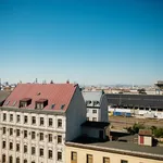 Rent 1 bedroom apartment of 45 m² in Vienna