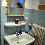 Rent 1 bedroom apartment of 50 m² in Wachtberg