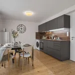 Pronajměte si 1 ložnic/e byt o rozloze 50 m² v prague