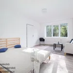 Rent 1 bedroom apartment of 38 m² in Ústí nad Labem