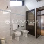 Rent 7 bedroom house of 450 m² in Zagreb