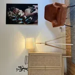 Rent 1 bedroom apartment in brussels