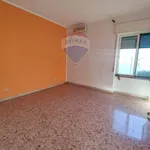 Rent 3 bedroom apartment of 70 m² in Pompei