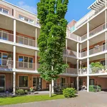 Rent 1 bedroom apartment of 53 m² in The Hague