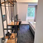 Rent 1 bedroom apartment of 16 m² in Bonn