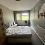 Rent 1 bedroom house in Birmingham