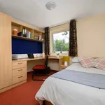 Rent 1 bedroom flat in Birmingham