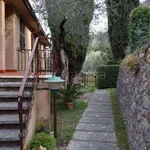 Rent 2 bedroom apartment of 55 m² in Torri del Benaco