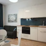 Pronajměte si 1 ložnic/e byt o rozloze 33 m² v Prague