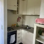 Rent 2 bedroom apartment of 50 m² in Perugia