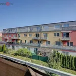 Rent 2 bedroom apartment of 53 m² in Brno