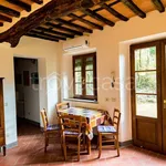 Rent 3 bedroom apartment of 58 m² in Lucca