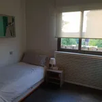 Rent a room of 200 m² in madrid