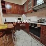 Rent 2 bedroom apartment of 90 m² in Athens