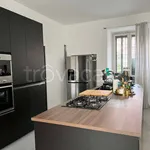 Rent 3 bedroom apartment of 190 m² in Cologno Monzese