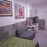 Rent 3 bedroom apartment in Bologna