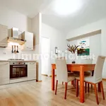 Rent 1 bedroom apartment of 40 m² in Turin