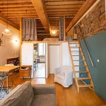 Rent 1 bedroom apartment of 310 m² in Lyon