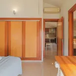 Rent 1 bedroom apartment in malaga