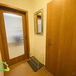 Rent 1 bedroom apartment in Kladno