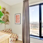 Rent 2 bedroom apartment of 614 m² in Amsterdam