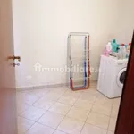 Rent 4 bedroom house of 104 m² in Bologna