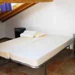 Rent 2 bedroom apartment of 70 m² in Modena