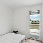 Rent 4 bedroom apartment in Graz