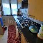 Rent 5 bedroom apartment of 79 m² in Adria