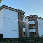 Affitto 2 camera appartamento di 55 m² in Viareggio