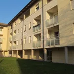 Rent 2 bedroom apartment of 60 m² in Colorno